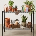 18" x 36" Superior Greenhouse Benches - BA270120B