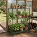 18" x 48" Superior Greenhouse Benches - BB270121B