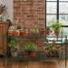 18" x 72" Superior Greenhouse Benches - BC270122B