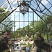 Cross Country Cape Cod Greenhouses - 2565100CC