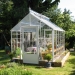 Cross Country Cottage Greenhouses - 2565100CT