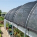 60% Black Greenhouse Shade Cloth (20' Wide) - 1560170