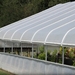 Solawrap UV Bubble Greenhouse Film - 15713