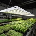 UltraGrow T5 Fluorescent Grow Light - 5611110