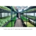  18" Wide Superior Greenhouse Bench Shelves - 2701015